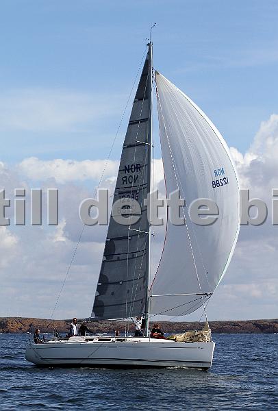 ORCi2 696.jpg